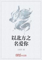 歌曲北方以北