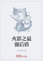 火影之最强气盾