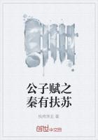 大秦赋 公子扶苏