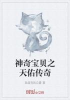 重生神奇宝贝之系统