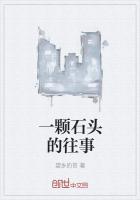 变成一颗石头作文