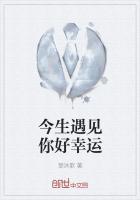 遇见你是我今生最大的幸运英语