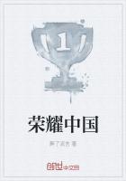 荣耀中国航展纪念章