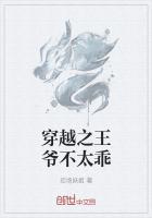 王爷宠妻穿越王妃不太乖