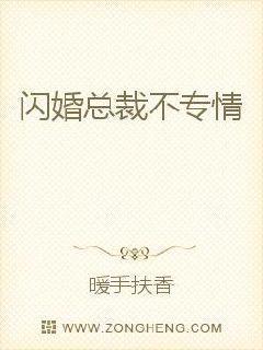 闪婚总裁司情电视剧