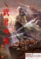 武安君传世传奇酒