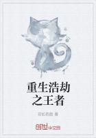 浩劫与重生是哪个版本