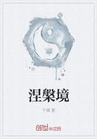 涅槃境之上的境界