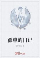 孤单的日记攻略