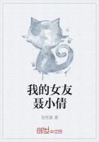 我的女友是诺澜