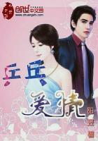乒乓爱情是什么爱情