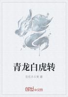 青龙白虎转岸