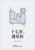 遇见十七岁的我