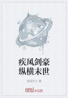 疾风剑豪cg动画