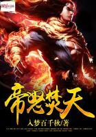 帝魔焚天用什么武器