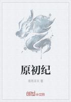 原初纯盐怎么样