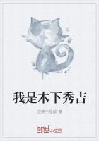 木下秀吉为主角