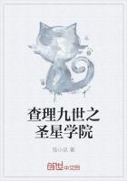 查理九世之星座之战