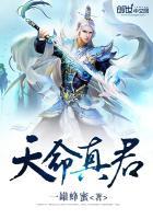 真命天子是什么人物