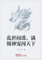 乱世升级满级