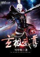 极武尊3天300级