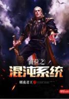 我顿悟了混沌系统