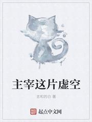 虚空科技大主宰