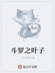 斗罗叶子魂师
