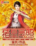 无锡高照猪小八