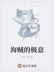 海贼王海贼的定义