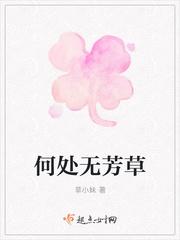 何处无芳草下一句是什么