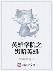 英雄vs黑暗英雄
