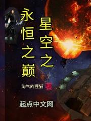 永恒星空集团