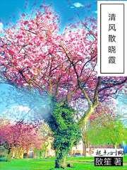 清风散晓霞 翔鸟薄天飞