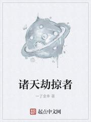 Dc劫掠者