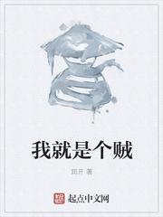 我是个贼