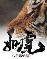 如虎天阳十里风是什么生肖