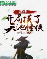 武侠掠夺天池怪侠
