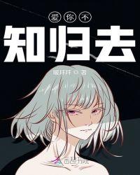 鹤不知归去