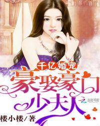 千亿婚宠豪娶豪门少夫人作者楼小楼