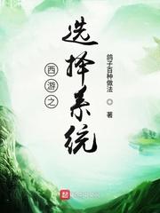 西游系统流