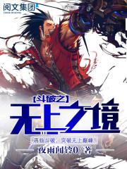 斗破苍穹之无上之境全集完整版