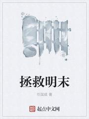 拯救明末王业泰
