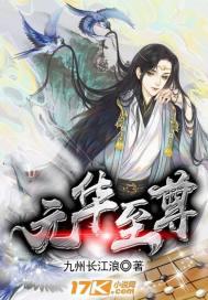 元华武功