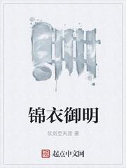 锦衣霸明txt
