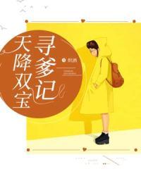 天降双宝寻爹记安小诺战警渊