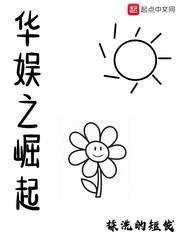 华娱之崛起人生