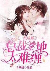 一纸成婚傅少甜甜的