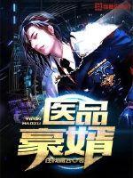 医品豪婿陈挣赵冰凝
