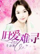 无敌王婿免费阅读全文无敌王婿周天